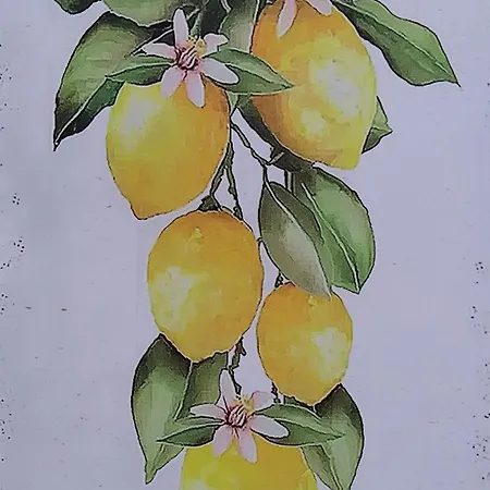The Lemon Grove House Holiday home